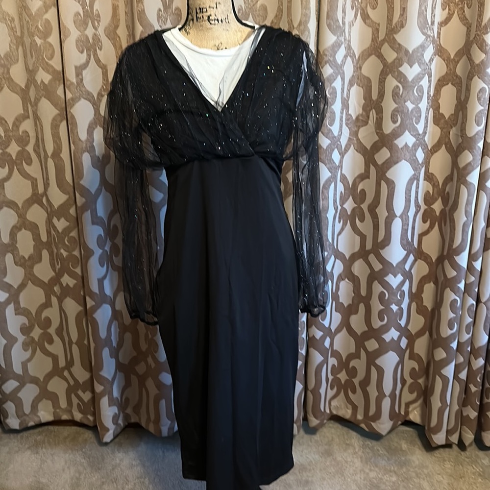 Fancy Dress with sheer sleeves